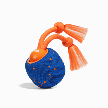 CHEERBLE WICKED BALL ROLLY AUTOMATIC INTERACTIVE TOY (DOG)