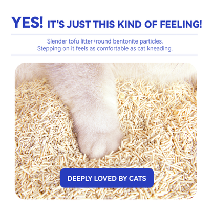 PETKIT OCCULT BLOOD TEST MIXED CAT LITTER (DR VET x PETKIT)