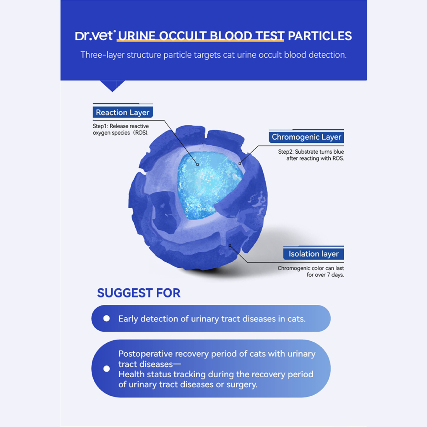 PETKIT OCCULT BLOOD TEST MIXED CAT LITTER (DR VET x PETKIT)