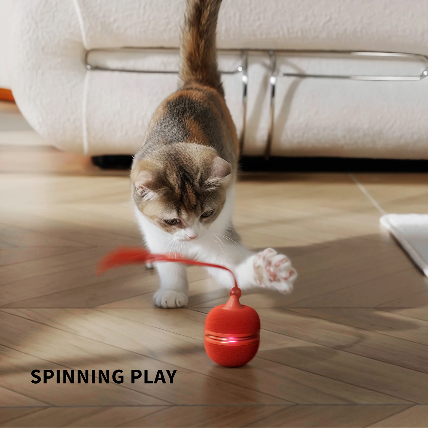 CHEERBLE WICKED BALL DUO 2 AUTOMATIC INTERACTIVE TOY (CAT)
