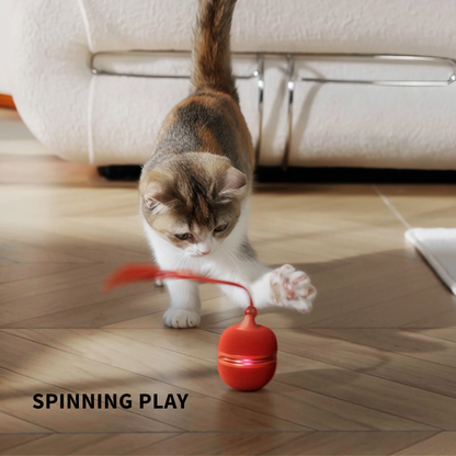 CHEERBLE WICKED BALL DUO 2 AUTOMATIC INTERACTIVE TOY (CAT)