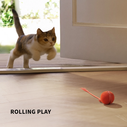 CHEERBLE WICKED BALL DUO 2 AUTOMATIC INTERACTIVE TOY (CAT)