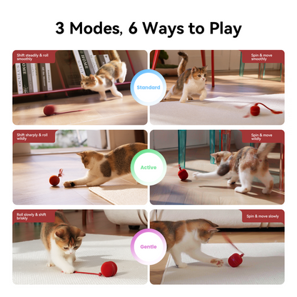 CHEERBLE WICKED BALL DUO 2 AUTOMATIC INTERACTIVE TOY (CAT)