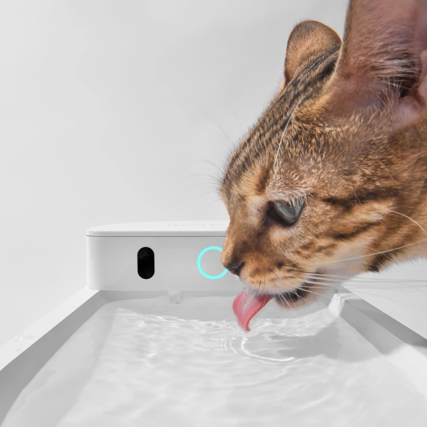 CATLINK AI 5000mAh Wireless Rechargeable Pet Water Fountain Water Dispenser