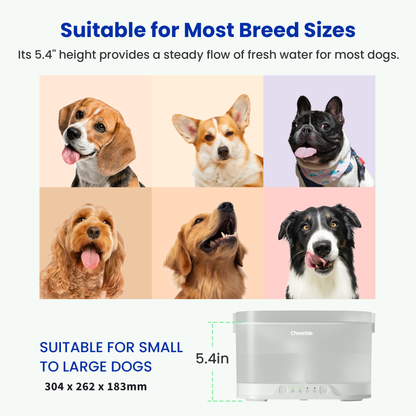 CHEERBLE D1 PRO WIRELESS DOG FOUNTAIN