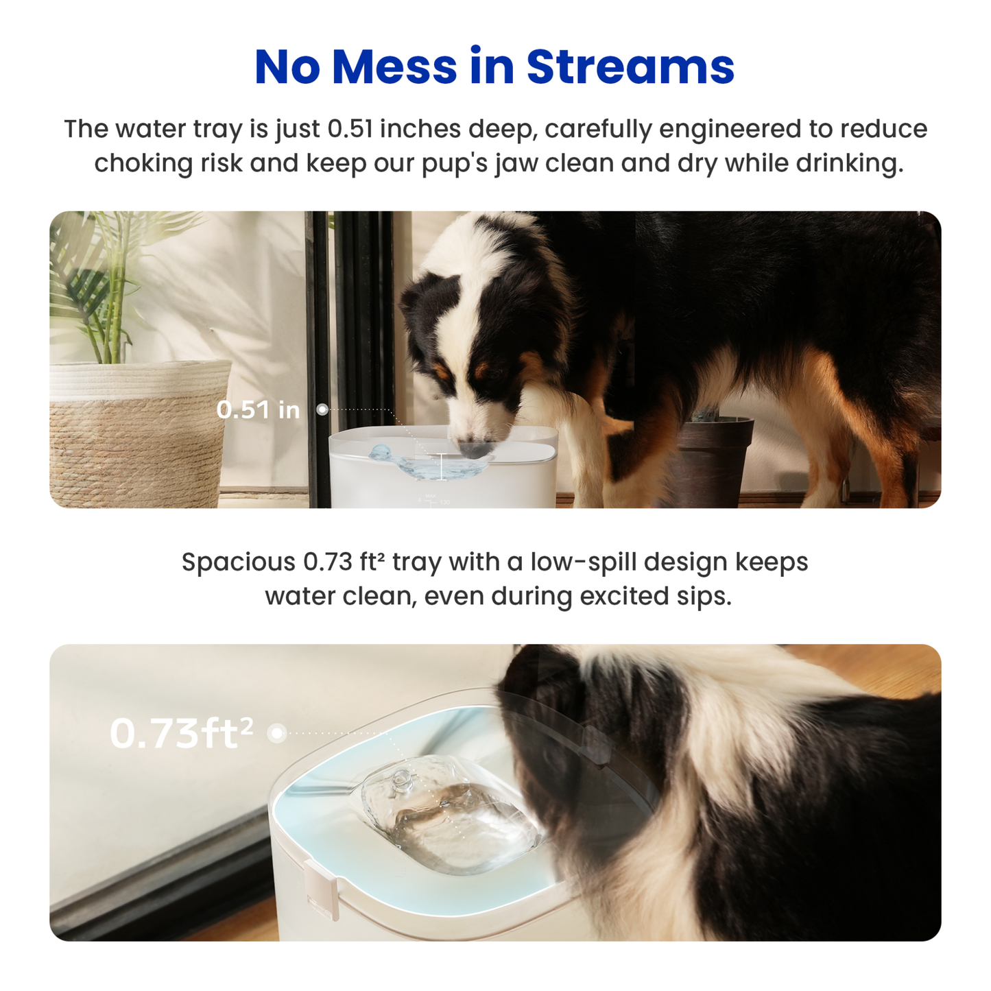 CHEERBLE D1 PRO WIRELESS DOG FOUNTAIN