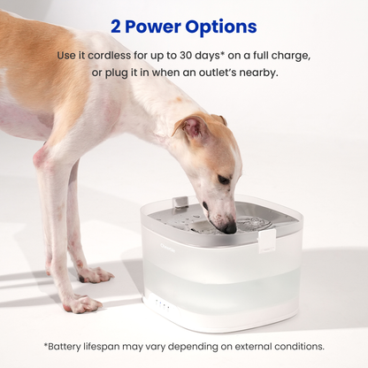 CHEERBLE D1 PRO WIRELESS DOG FOUNTAIN