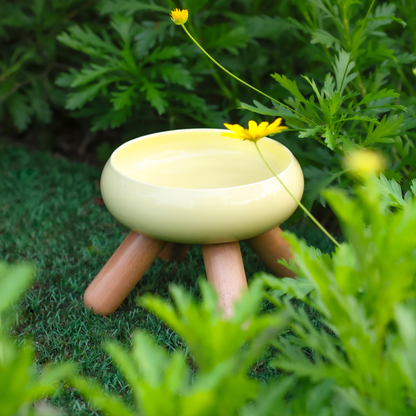 MEOOF GULU CERAMIC PET FOOD BOWL (YELLOW)