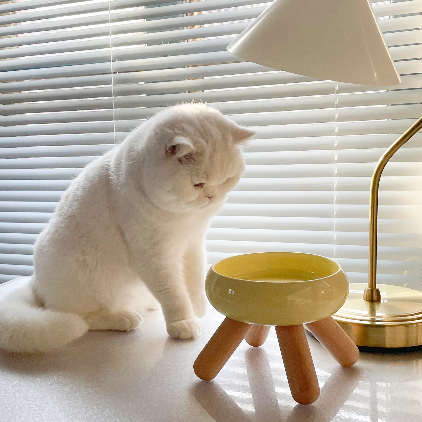 MEOOF GULU CERAMIC PET FOOD BOWL (YELLOW)