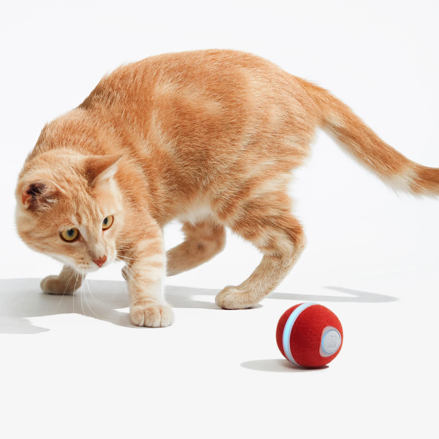 CHEERBLE WICKED BALL M3 AUTOMATIC INTERACTIVE TOY (CAT)