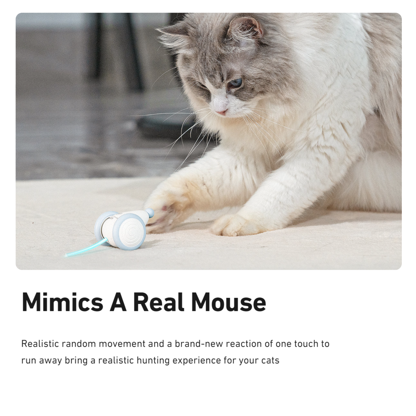 CHEERBLE Wicked Mouse Smart Interactive Pet Toy for Cat
