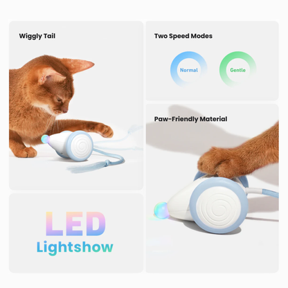 CHEERBLE WICKED MOUSE NEO AUTOMATIC INTERACTIVE TOY (CAT)