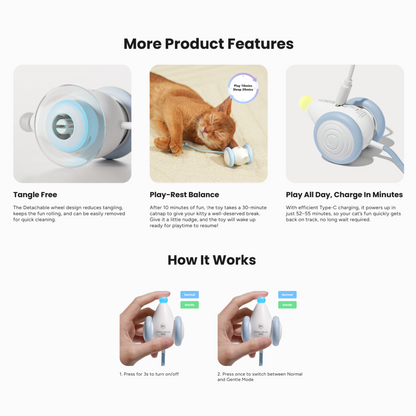 CHEERBLE WICKED MOUSE NEO AUTOMATIC INTERACTIVE TOY (CAT)
