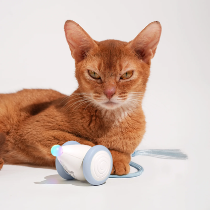 CHEERBLE WICKED MOUSE NEO AUTOMATIC INTERACTIVE TOY (CAT)