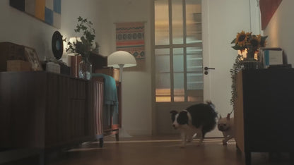 CHEERBLE D1 PRO WIRELESS DOG FOUNTAIN