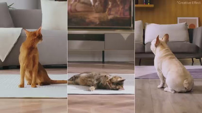 PETKIT YUMSHARE DUAL-HOPPER 2 AUTOMATIC FEEDER WITH CAMERA