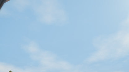 CHEERBLE WICKED BALL DUO 2 AUTOMATIC INTERACTIVE TOY (CAT)