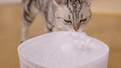 CHEERBLE E1 LITE PET FOUNTAIN