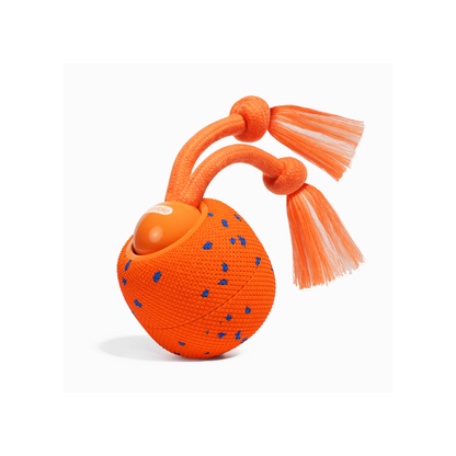 CHEERBLE WICKED BALL ROLLY AUTOMATIC INTERACTIVE TOY (DOG)