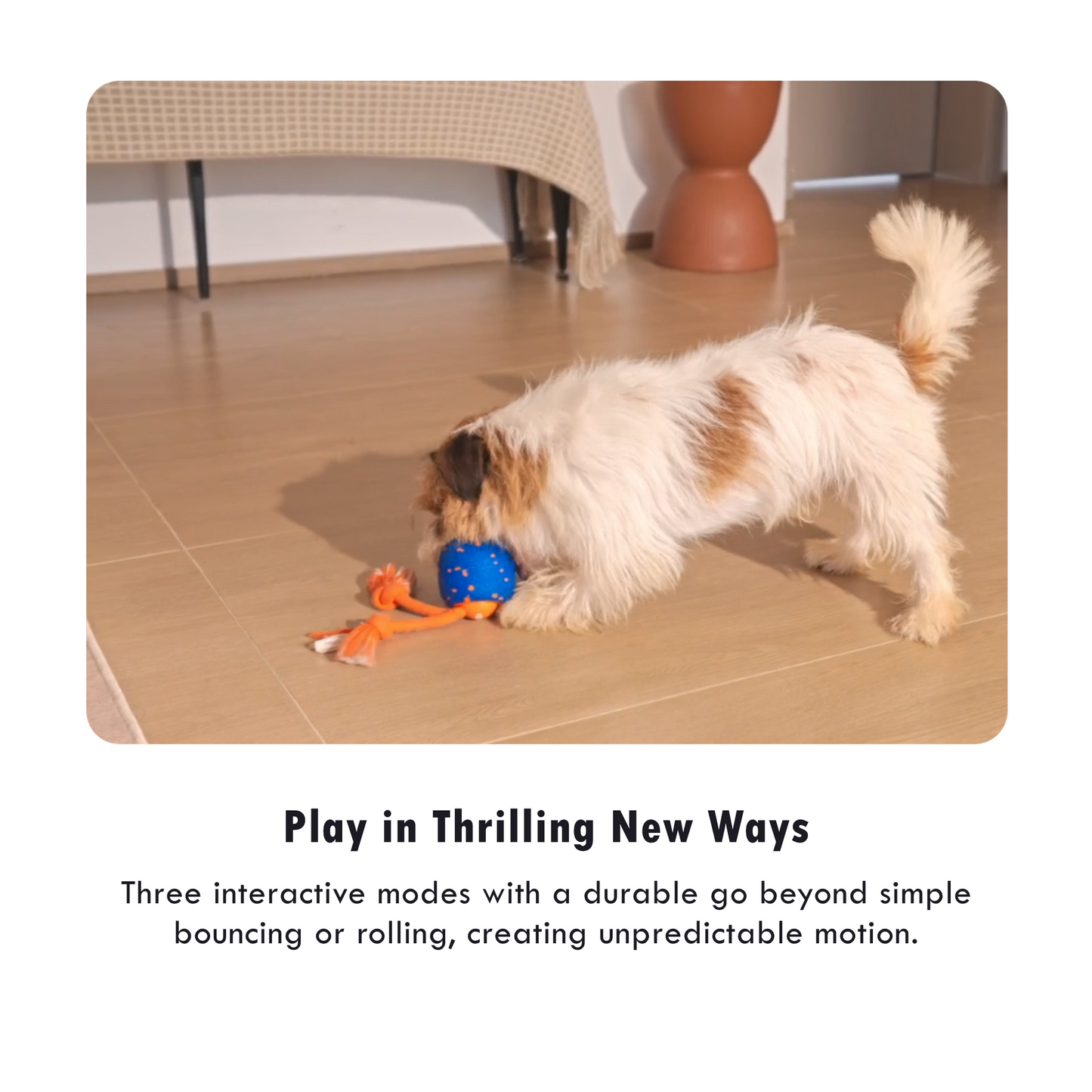 CHEERBLE WICKED BALL ROLLY AUTOMATIC INTERACTIVE TOY (DOG)