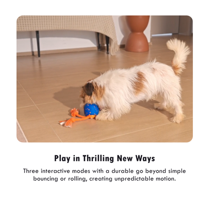 CHEERBLE WICKED BALL ROLLY AUTOMATIC INTERACTIVE TOY (DOG)