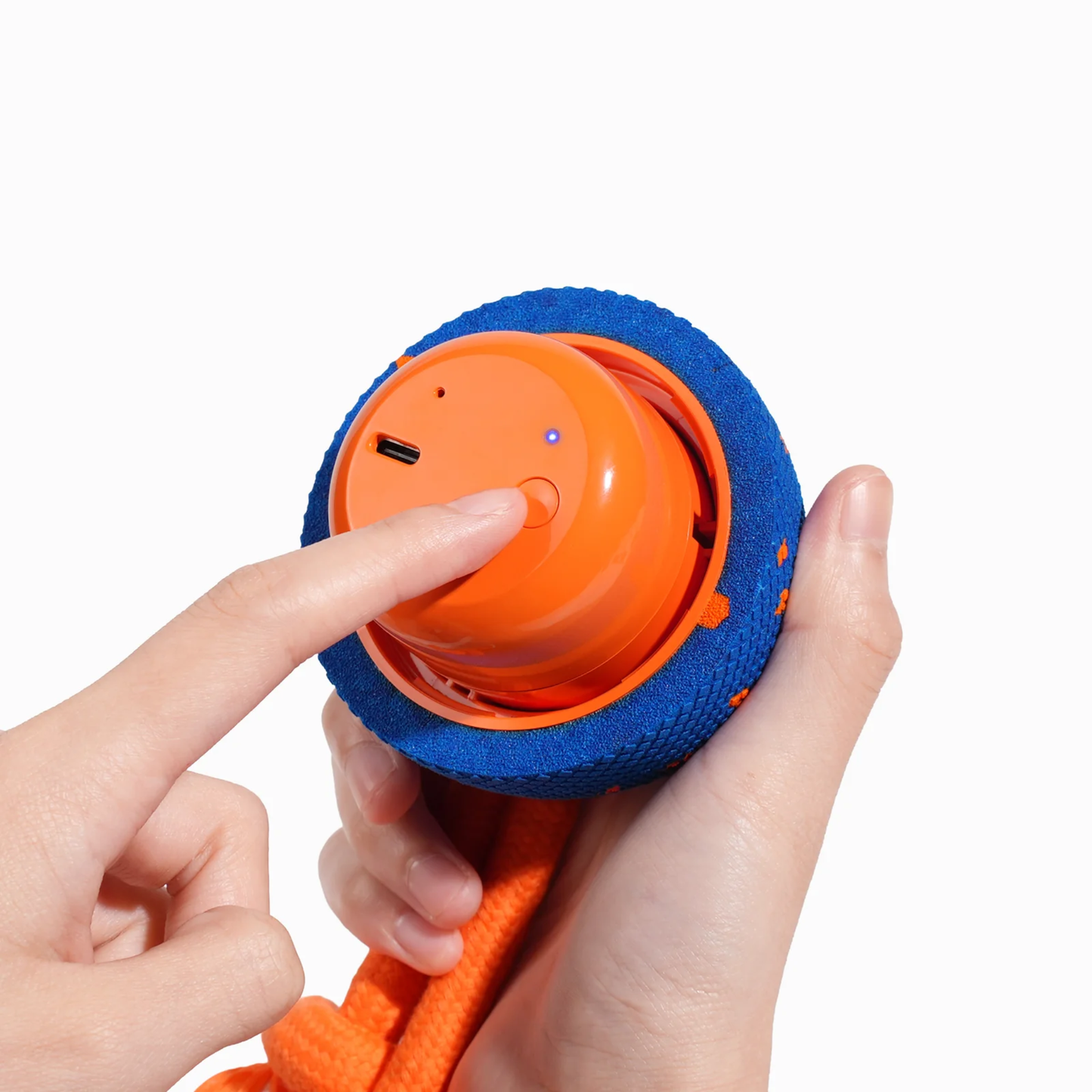 CHEERBLE WICKED BALL ROLLY AUTOMATIC INTERACTIVE TOY (DOG)