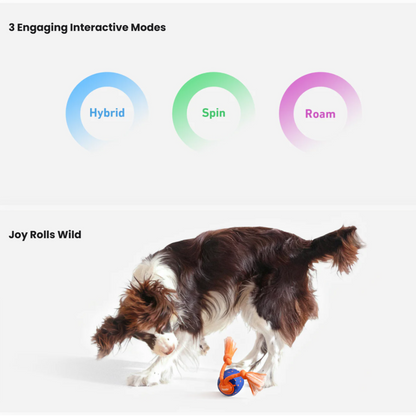 CHEERBLE WICKED BALL ROLLY AUTOMATIC INTERACTIVE TOY (DOG)