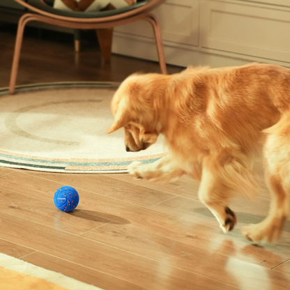 CHEERBLE WICKED BALL AIR AUTOMATIC INTERACTIVE TOY (DOG)