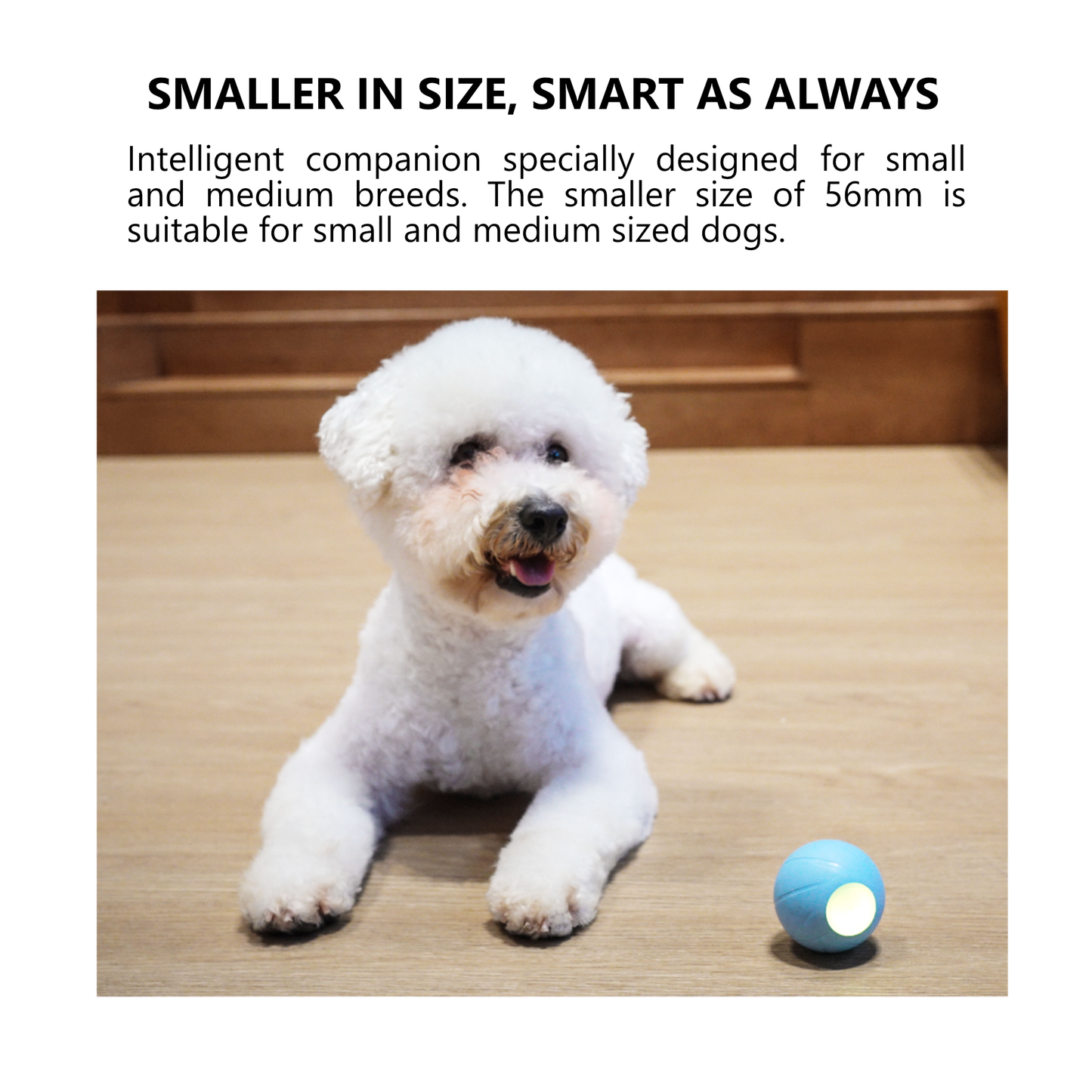 CHEERBLE Wicked Ball SE and PE Automatic Smart Interactive Dog Ball Toy  - Small and Large Size