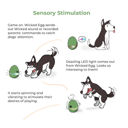CHEERBLE WICKED EGG AUTOMATIC INTERACTIVE TOY (CAT/DOG)