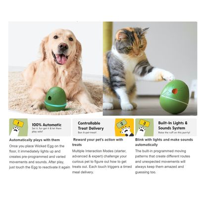 CHEERBLE WICKED EGG AUTOMATIC INTERACTIVE TOY (CAT/DOG)