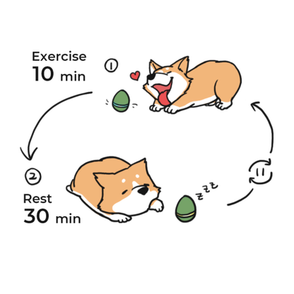 CHEERBLE WICKED EGG AUTOMATIC INTERACTIVE TOY (CAT/DOG)