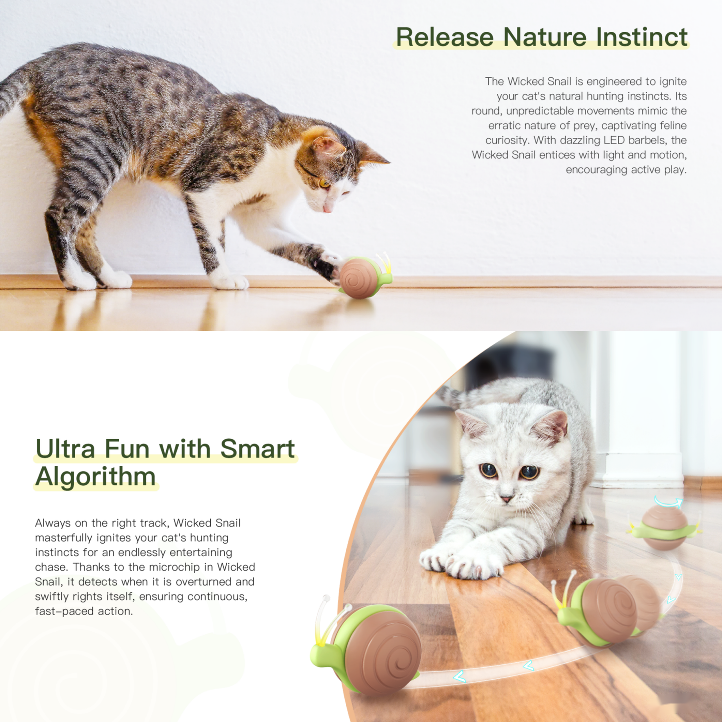 Cheerble Wicked Snail Smart Interactive Cat Toy