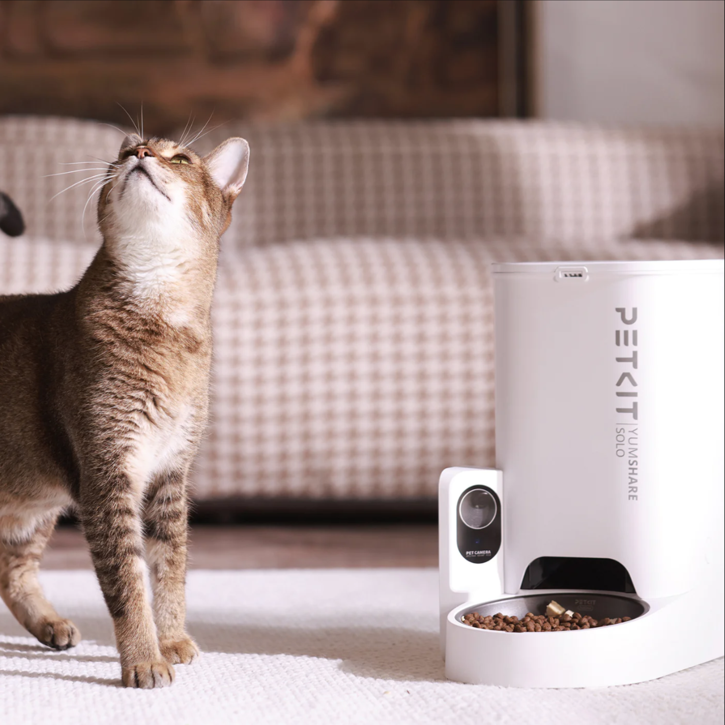 PETKIT Yumshare Solo 3L Smart Pet Feeder with 1080p Camera Wifi App Control
