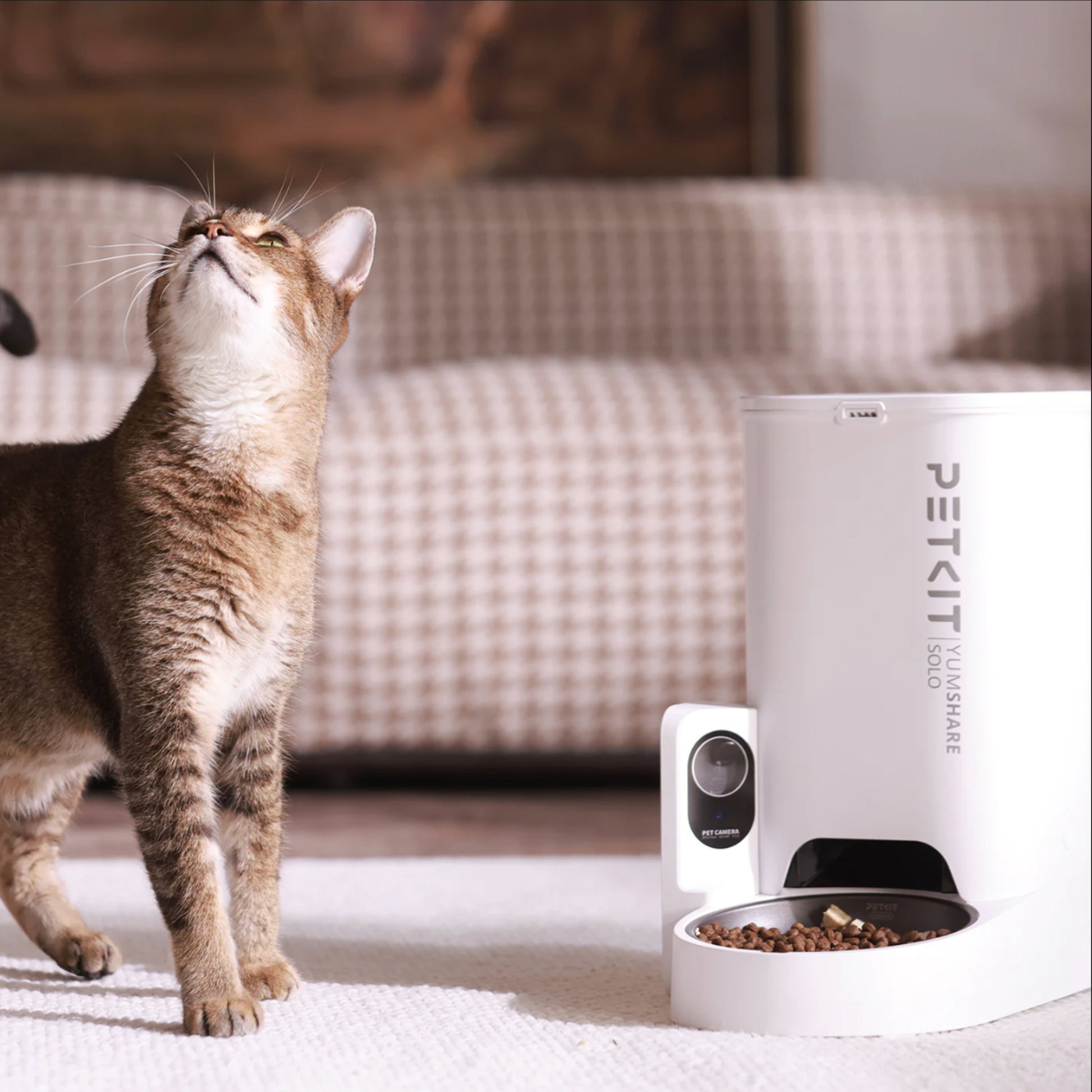 Petkit store cat feeder