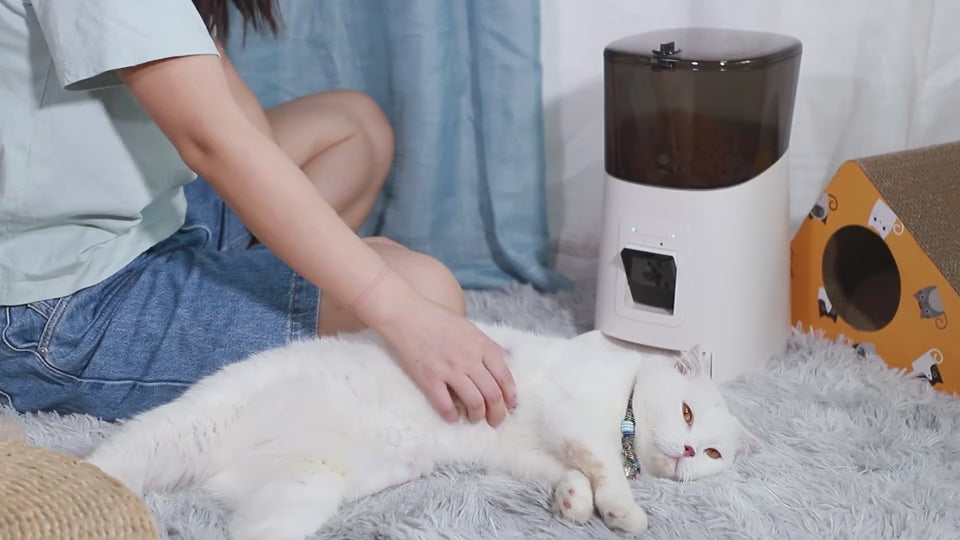 Pet Dog and Cat Treat Dispenser Toy – savvypetz