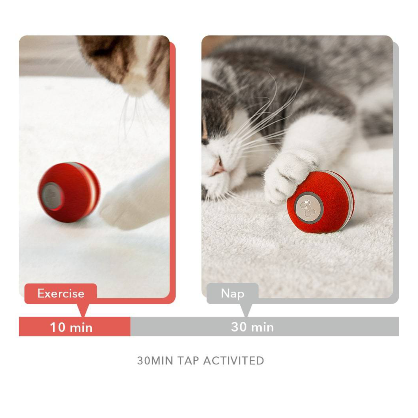 CHEERBLE Automatic Smart Interactive Cat Ball Toy