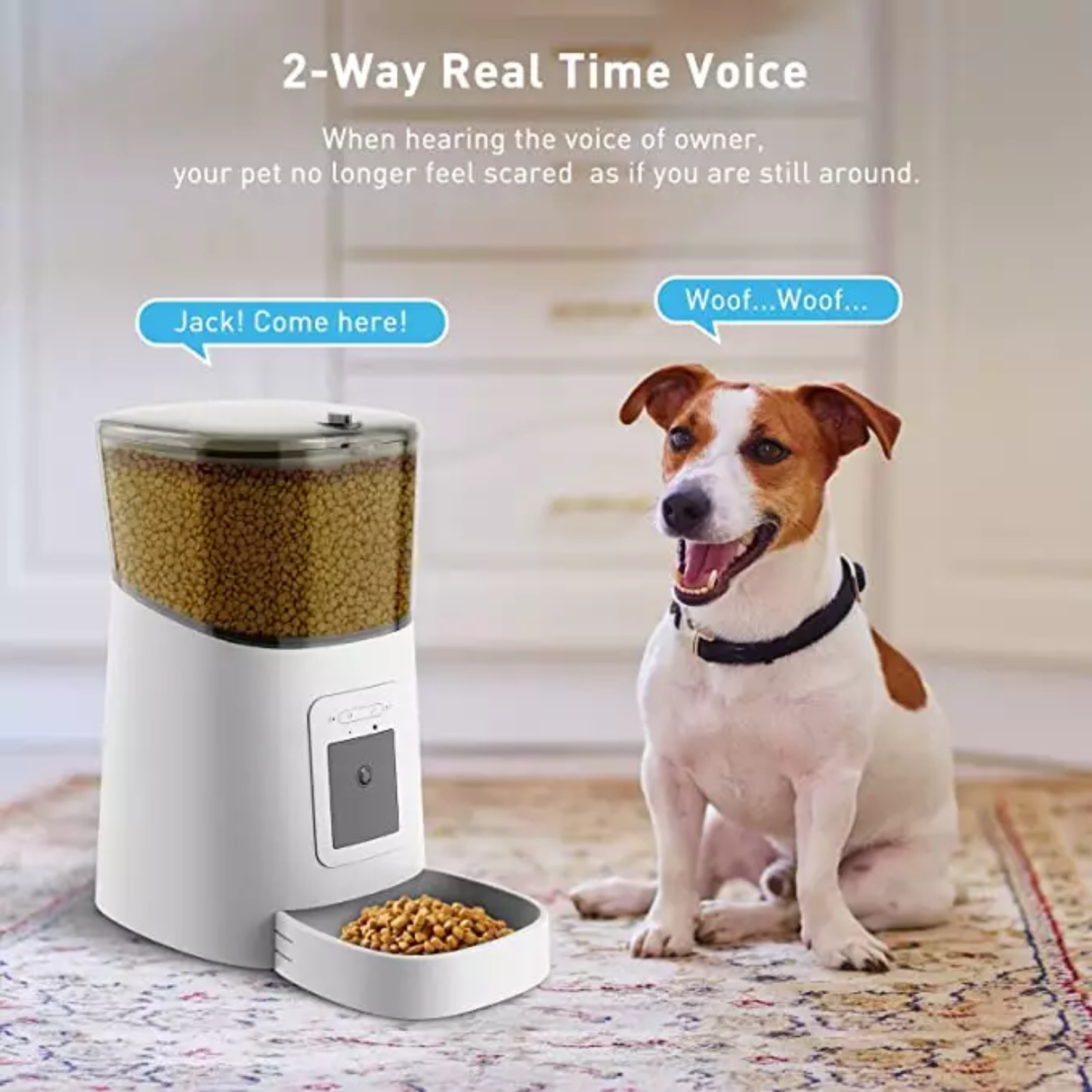 Ultimate 6L Automatic Smart WIFI Camera Pet Feeder For Cat and Dog - App control + 1080P camera