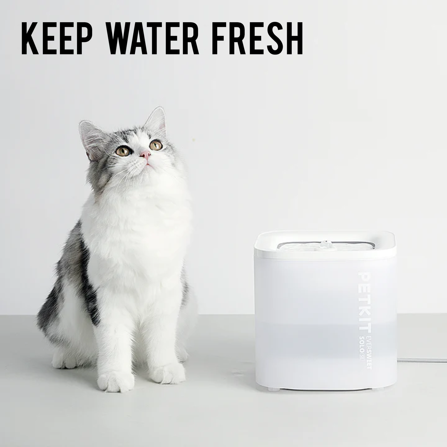 EVERSWEET SOLO SE PET WATER FOUNTAIN
