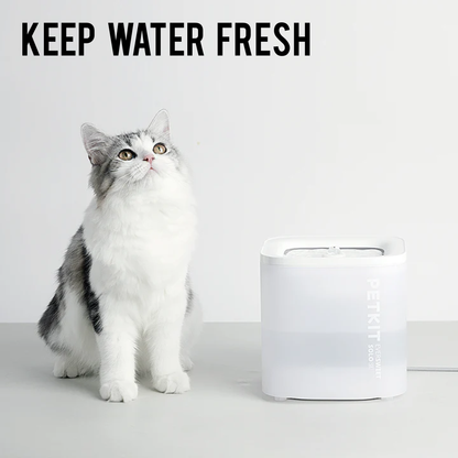 EVERSWEET SOLO SE PET WATER FOUNTAIN