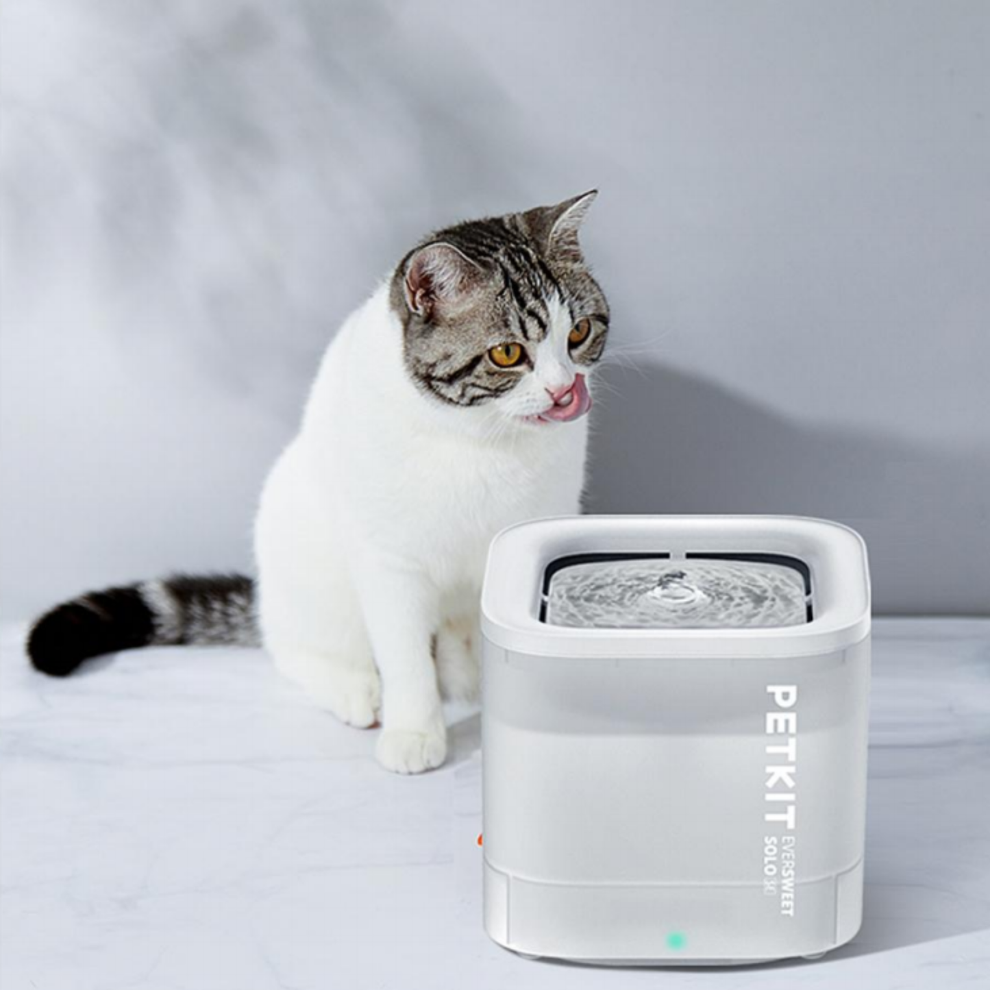 EVERSWEET SOLO SE PET WATER FOUNTAIN