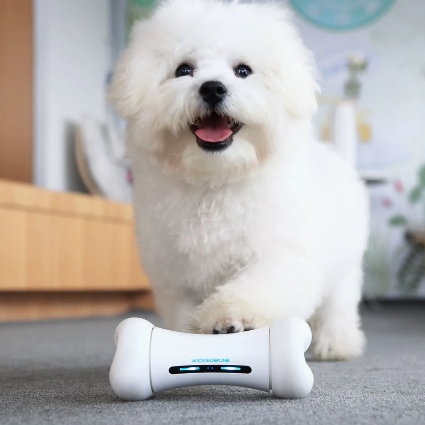 CHEERBLE Wickedbone Smart Bone Interactive Dog Toy