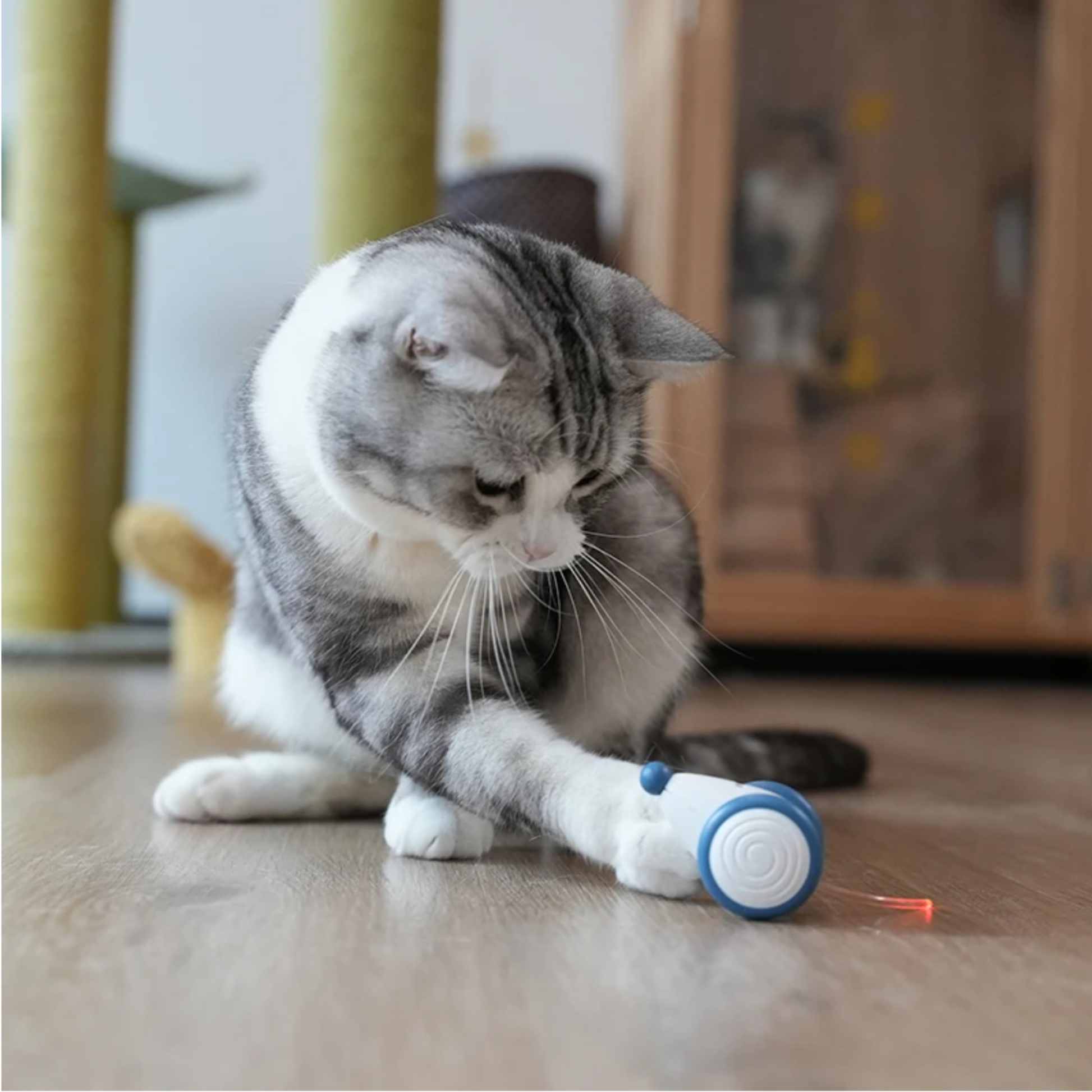 Wicked Mouse: New Smart Bionic Mouse Interactive Cat Toy