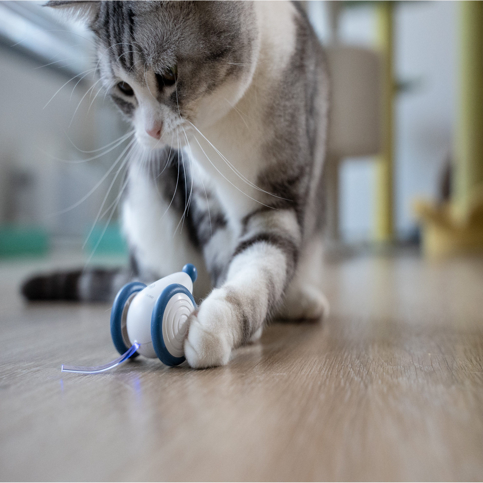 Wicked Mouse: New Smart Bionic Mouse Interactive Cat Toy